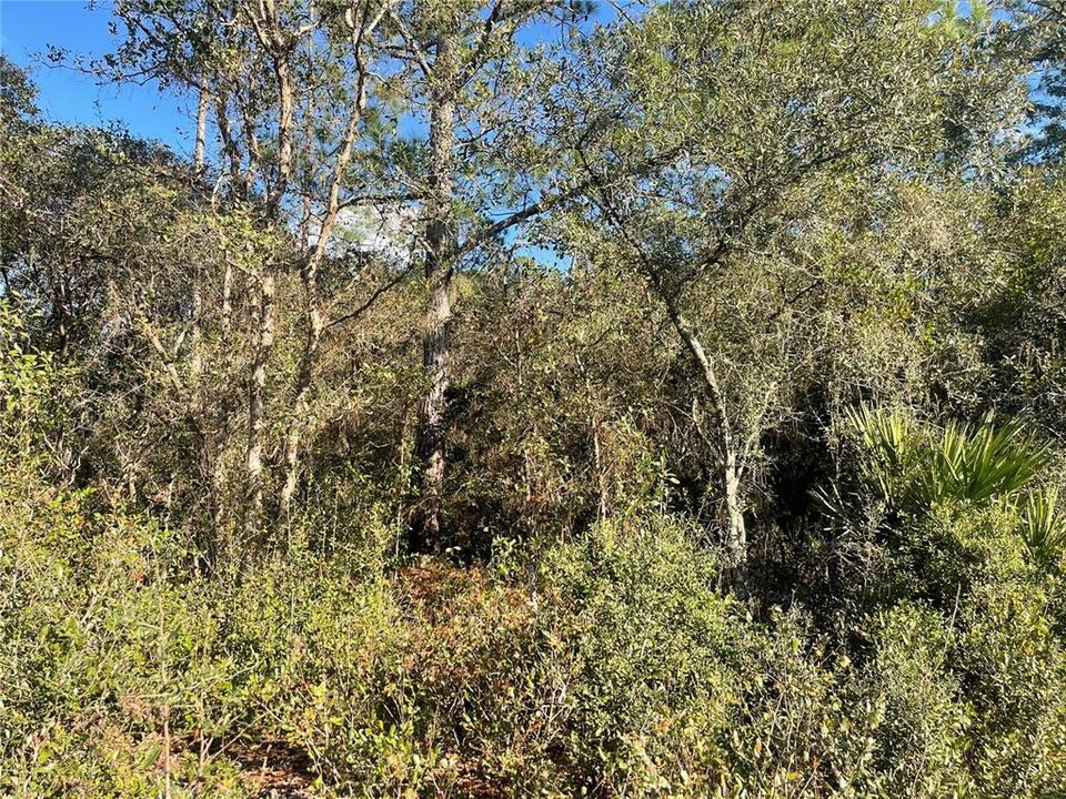 待售: $44,900 (1.00 acres)