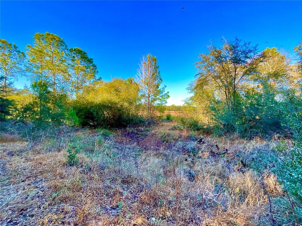 待售: $11,499 (0.23 acres)