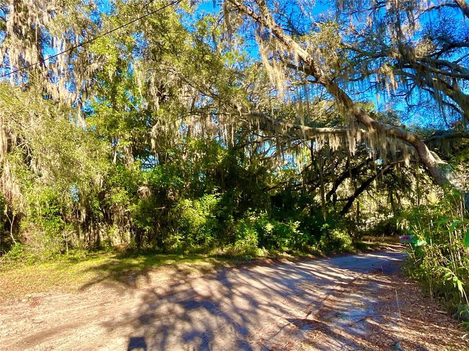 待售: $11,499 (0.23 acres)