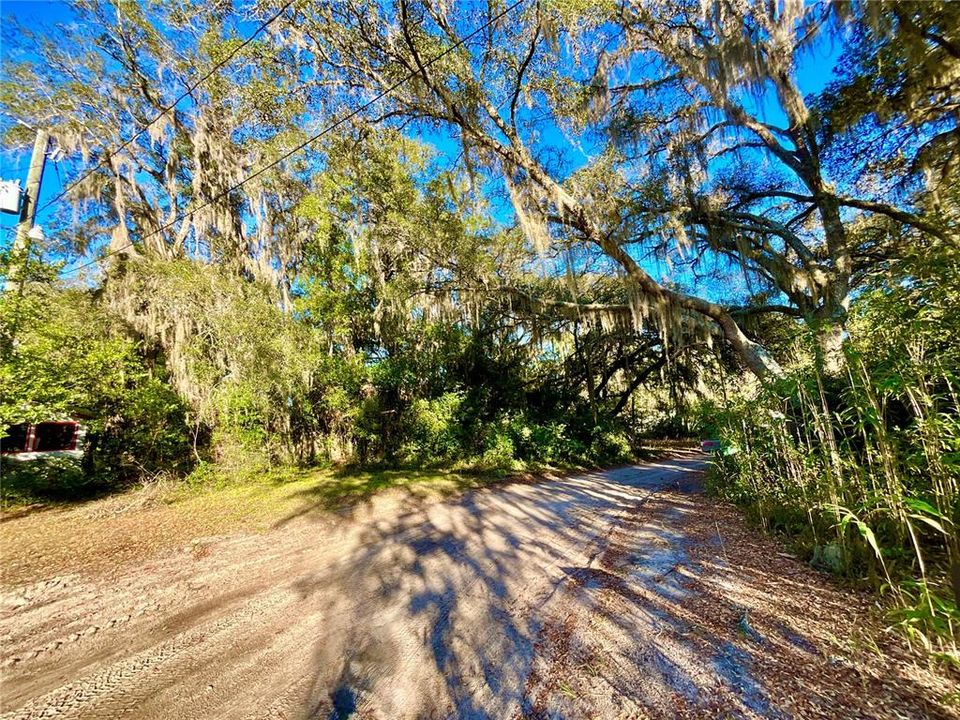 待售: $11,499 (0.23 acres)