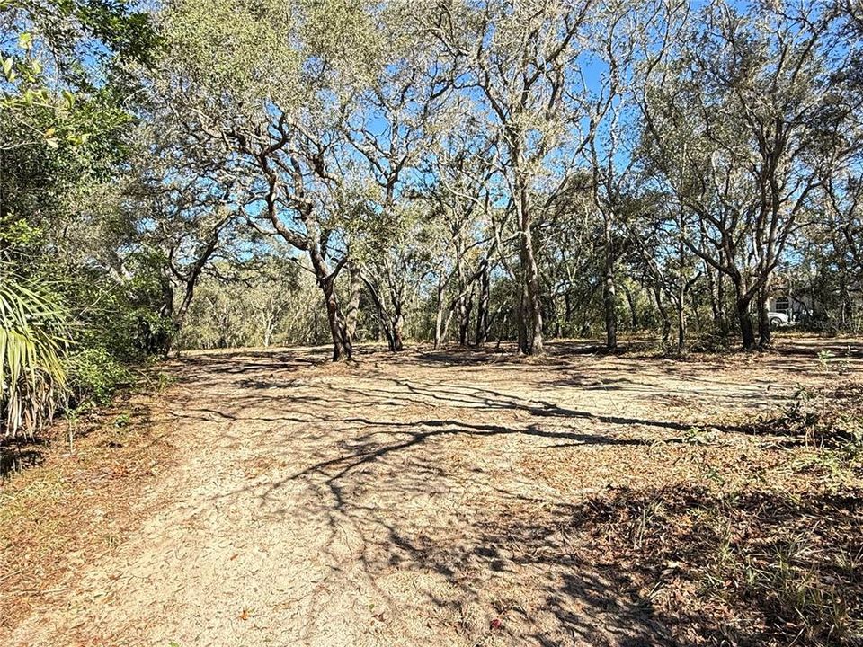 待售: $50,000 (1.01 acres)