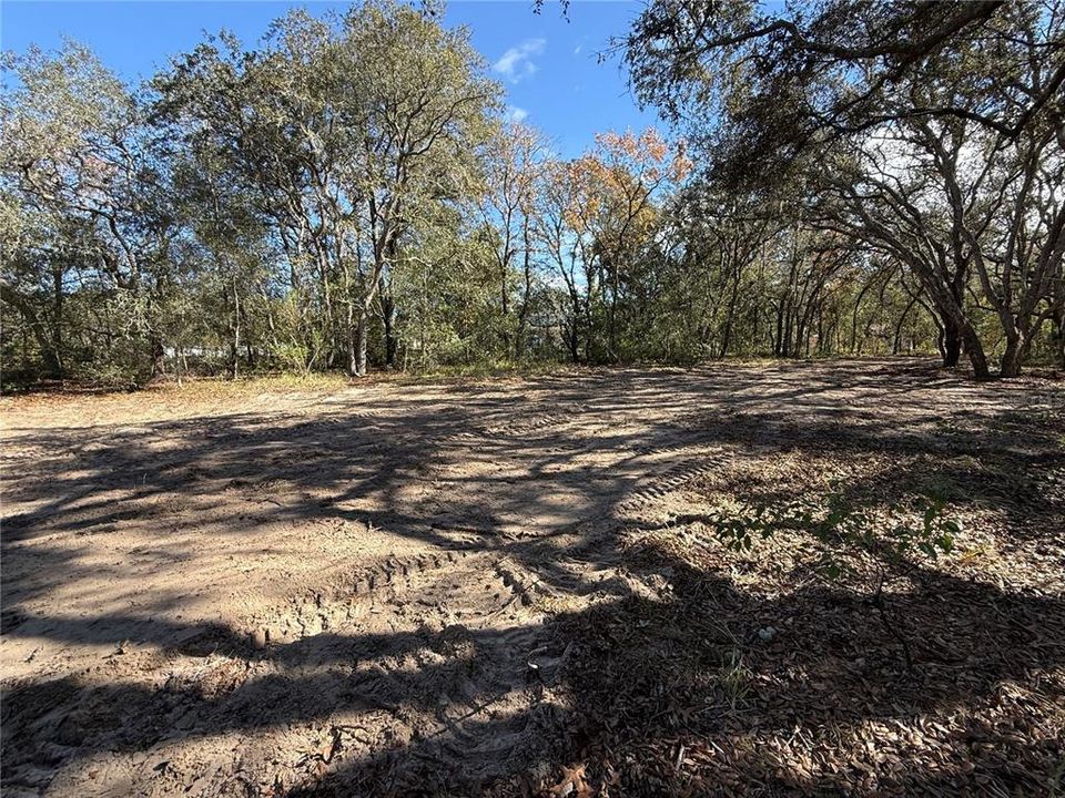 待售: $50,000 (1.01 acres)