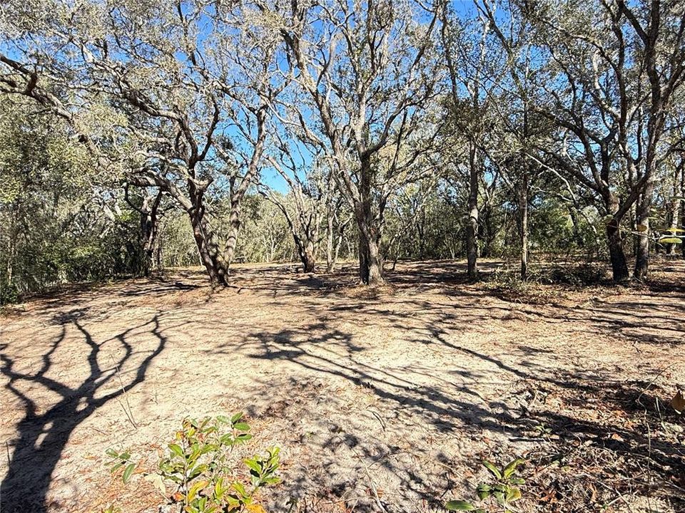 待售: $50,000 (1.01 acres)