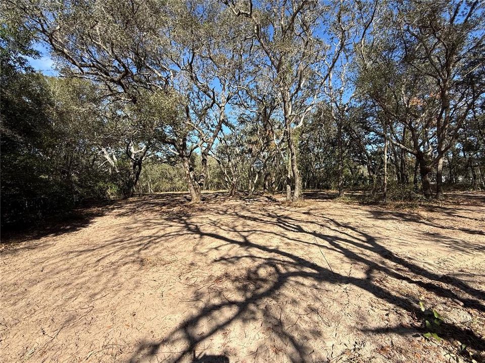 待售: $50,000 (1.01 acres)