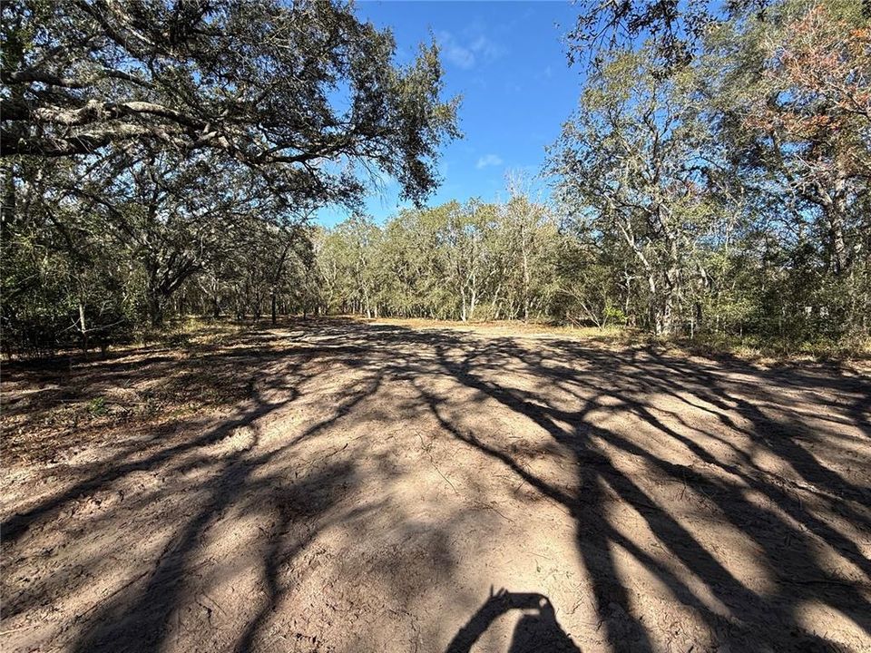 待售: $50,000 (1.01 acres)