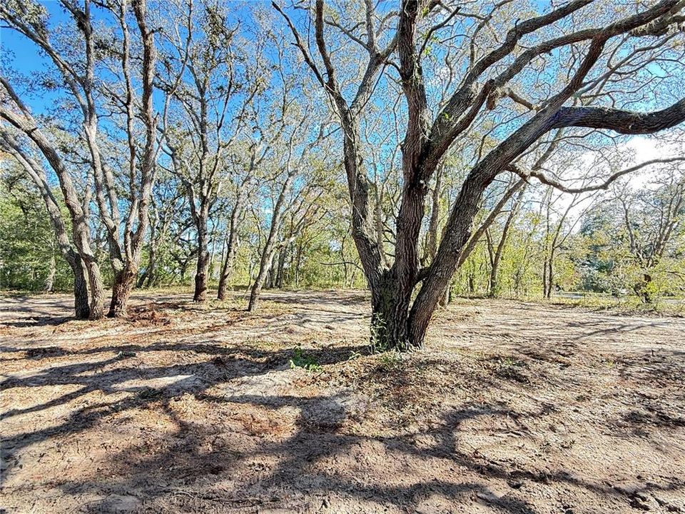 待售: $50,000 (1.01 acres)