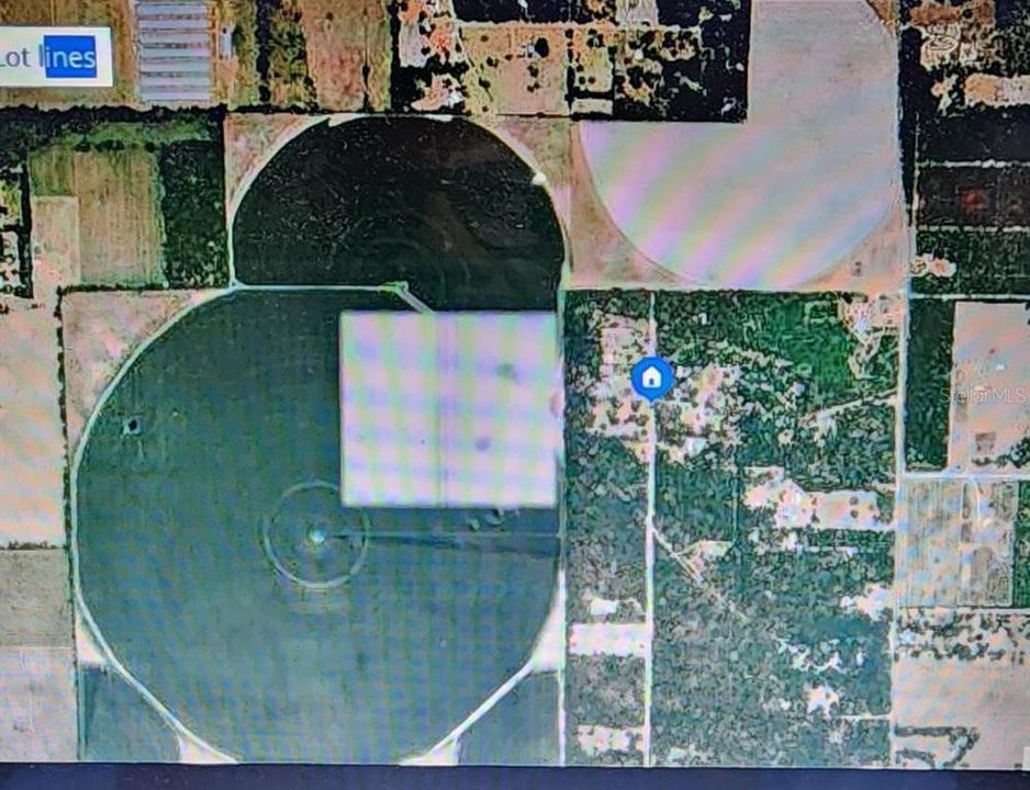 For Sale: $49,900 (4.01 acres)