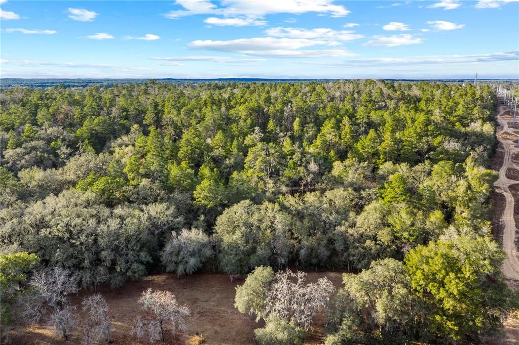 待售: $13,900 (0.63 acres)