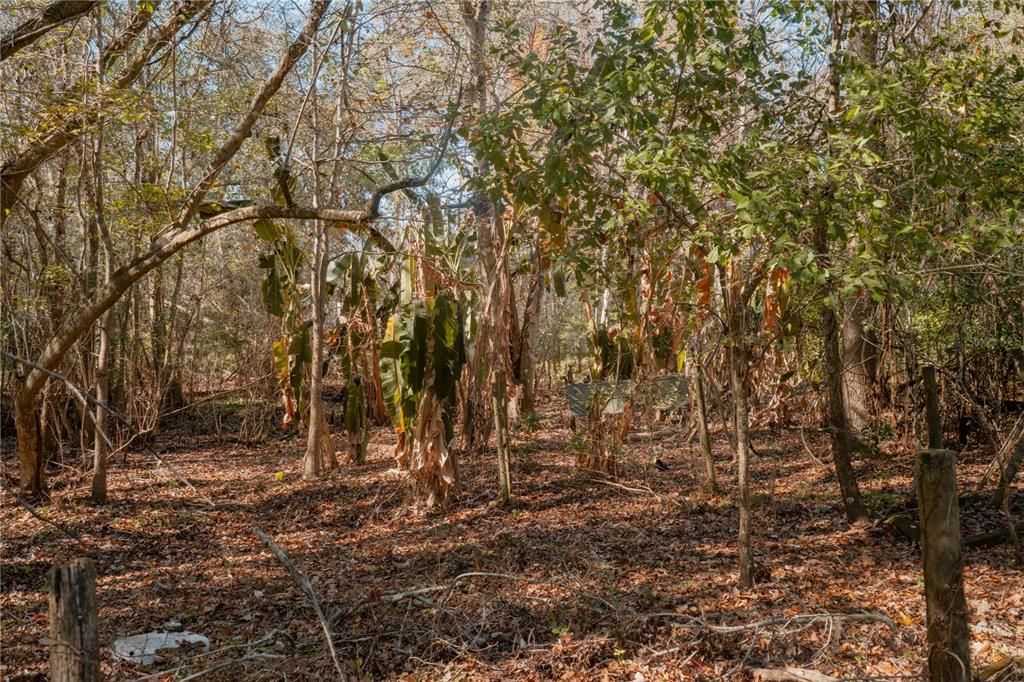 En Venta: $349,999 (3.30 acres)