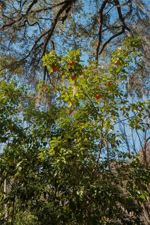 En Venta: $349,999 (3.30 acres)