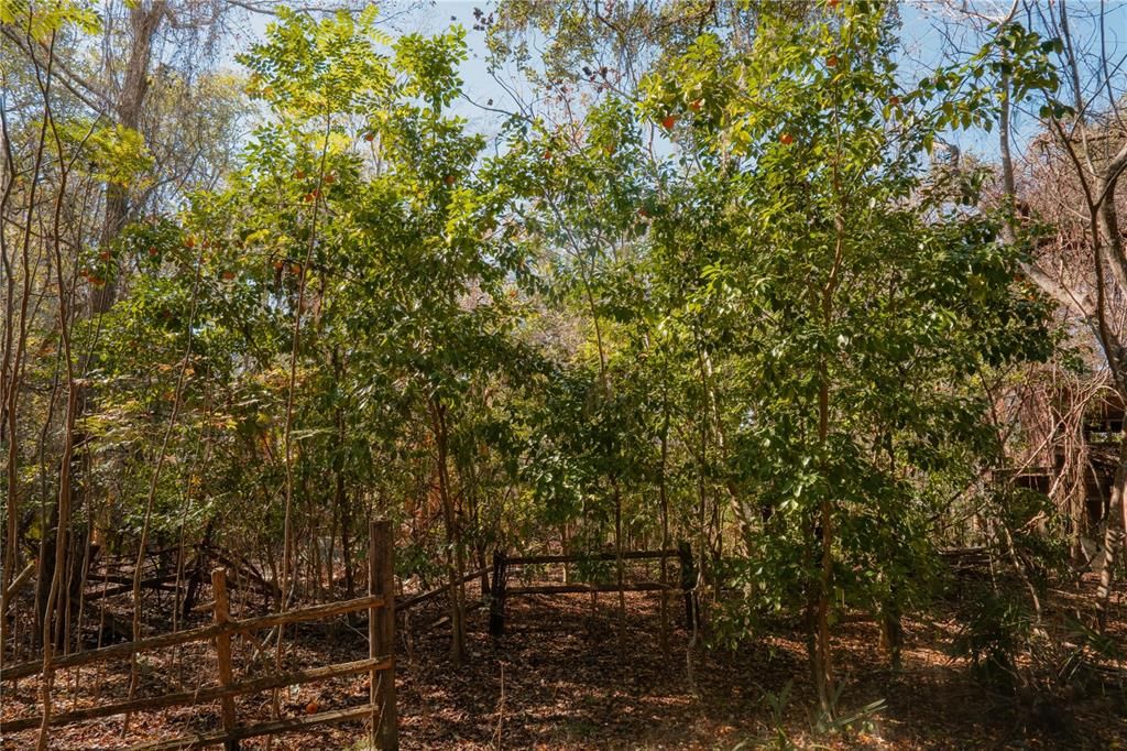 En Venta: $349,999 (3.30 acres)