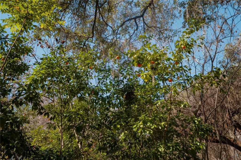 En Venta: $349,999 (3.30 acres)