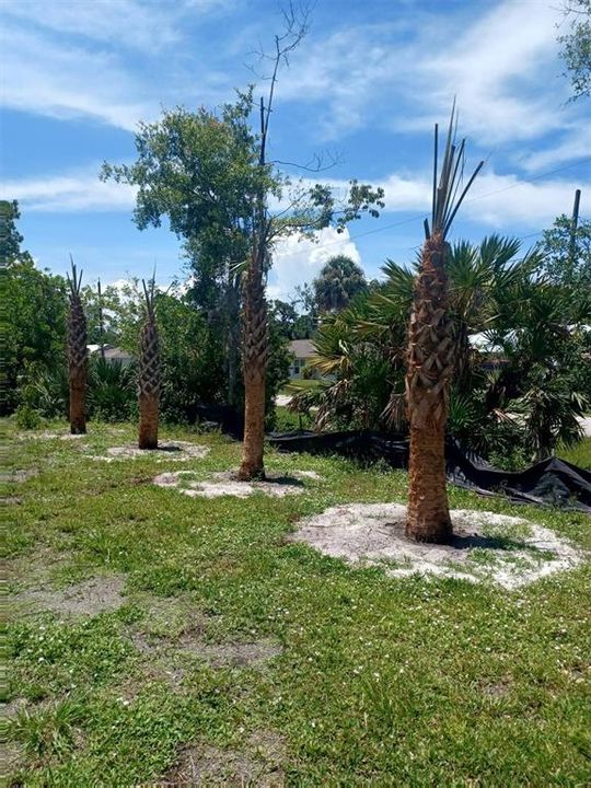 For Sale: $179,777 (0.33 acres)