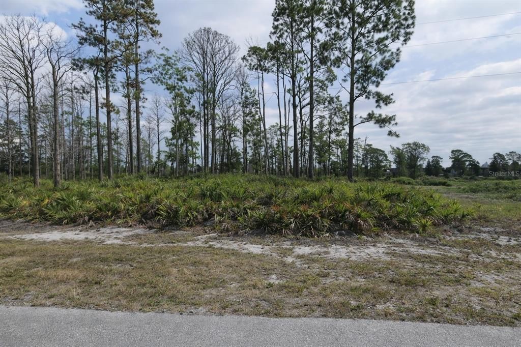 На продажу: $19,500 (0.18 acres)