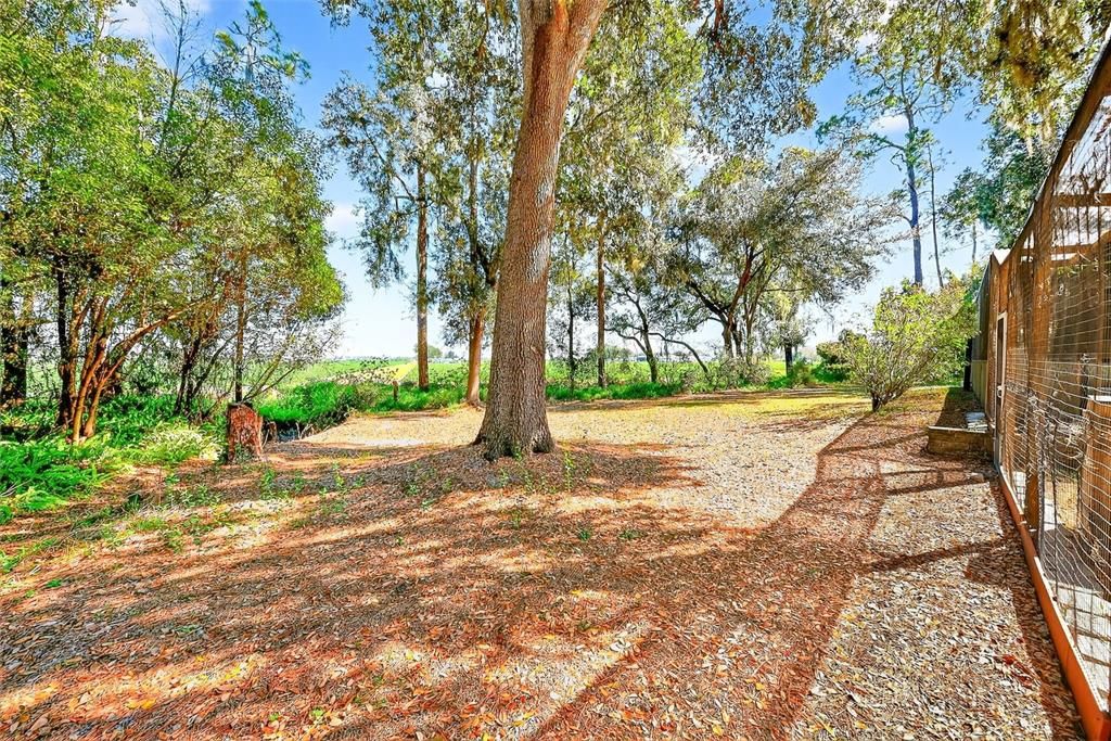 For Sale: $689,000 (4 beds, 2 baths, 3471 Square Feet)