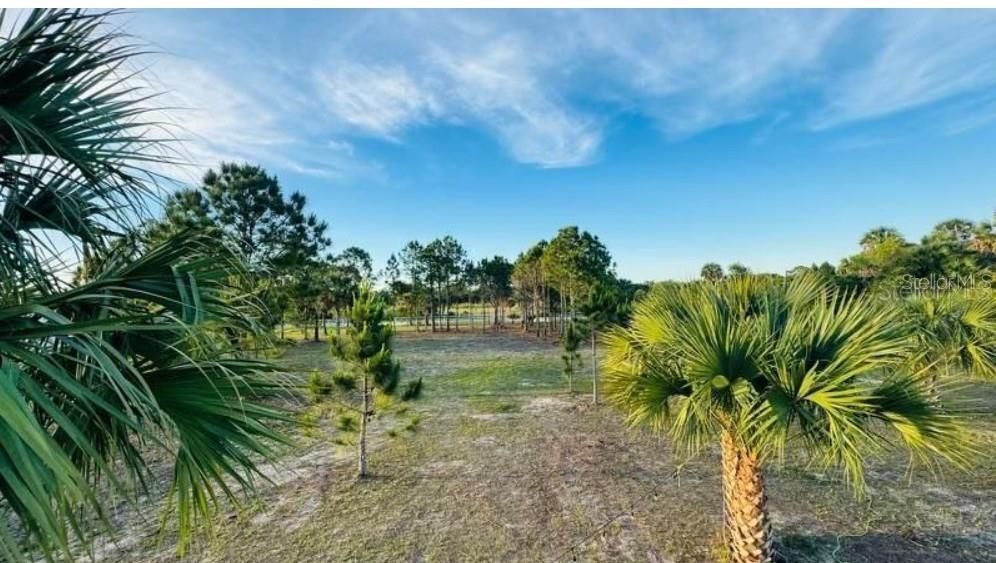En Venta: $80,000 (1.25 acres)