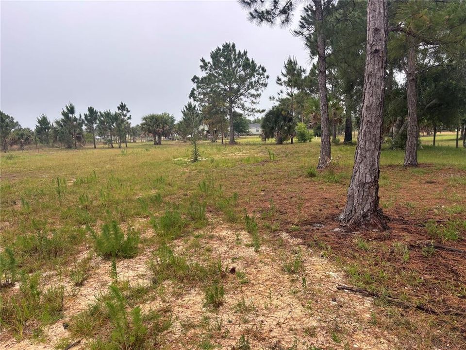 For Sale: $65,000 (1.25 acres)