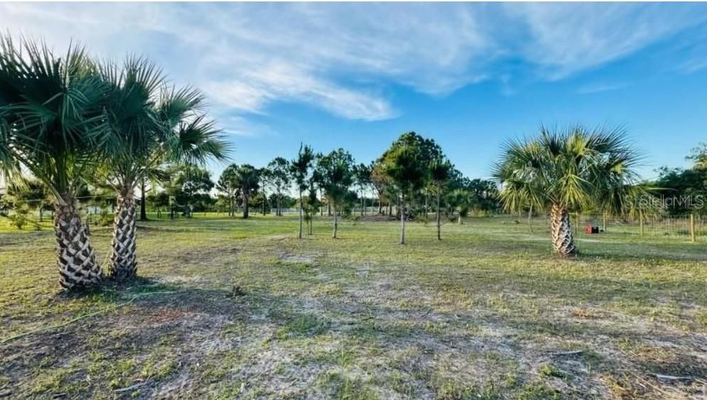 En Venta: $80,000 (1.25 acres)