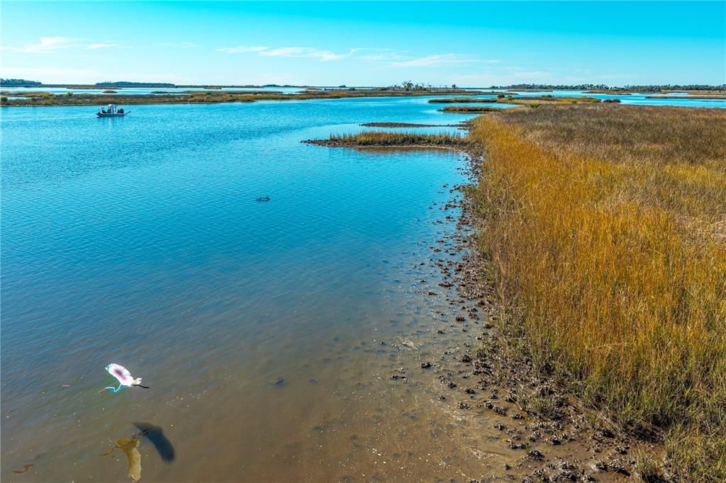 For Sale: $120,000 (10.00 acres)