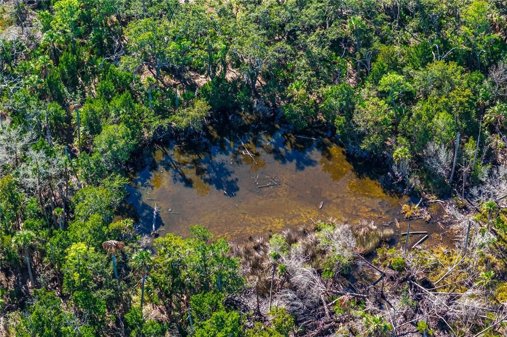 For Sale: $120,000 (10.00 acres)