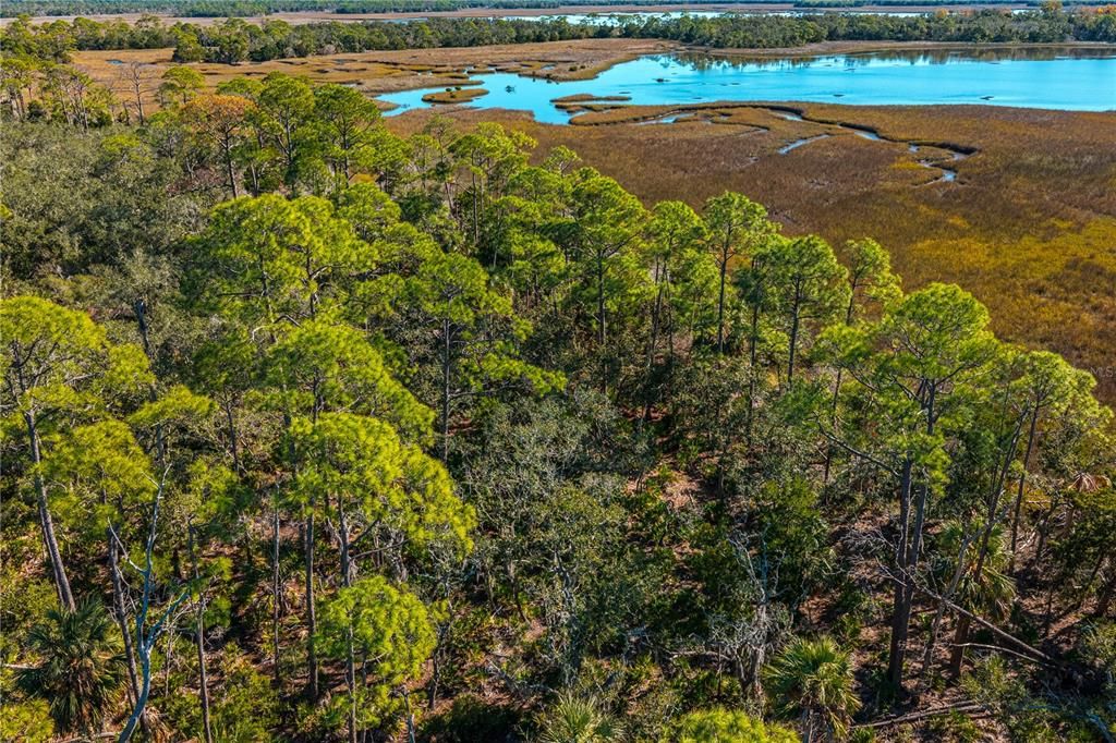 For Sale: $120,000 (10.00 acres)