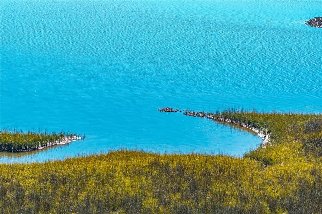 For Sale: $120,000 (10.00 acres)