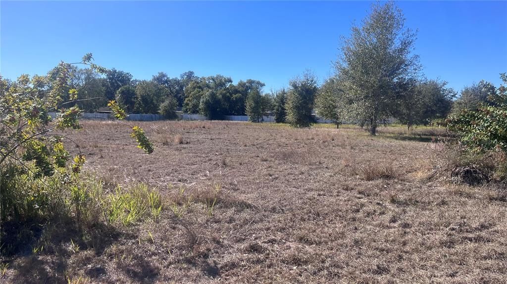 For Sale: $265,000 (1.51 acres)