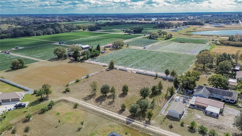 For Sale: $265,000 (1.51 acres)