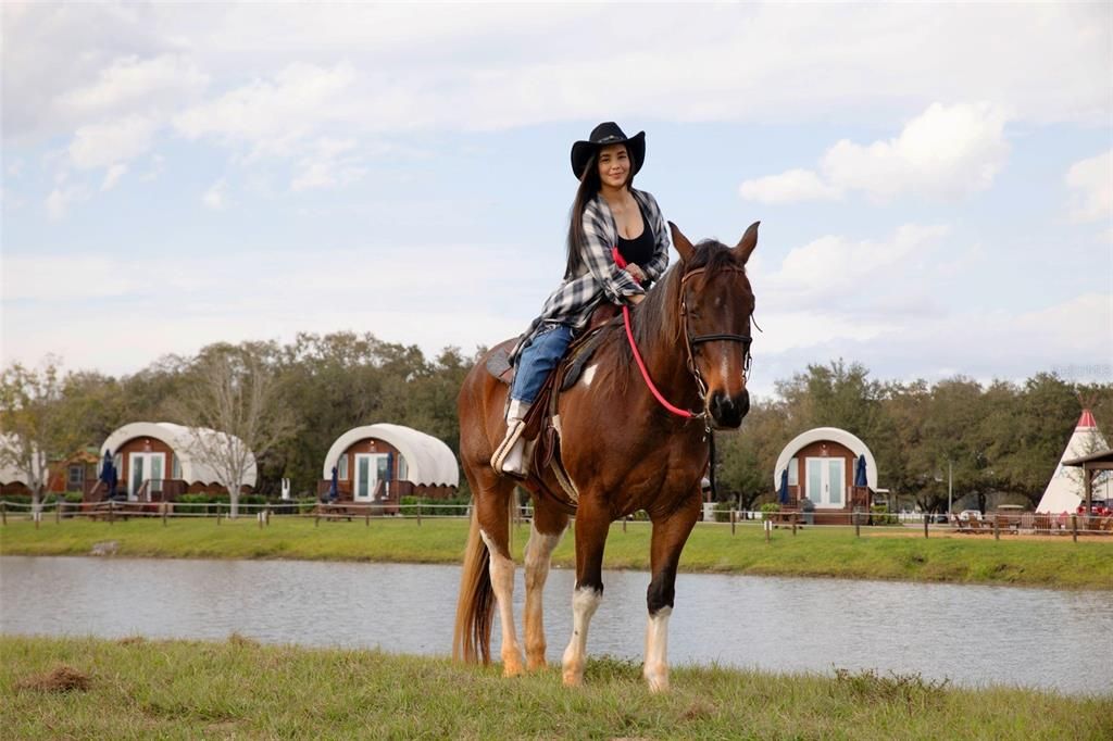 For Sale: $120,000 (1 beds, 1 baths, 370 Square Feet)