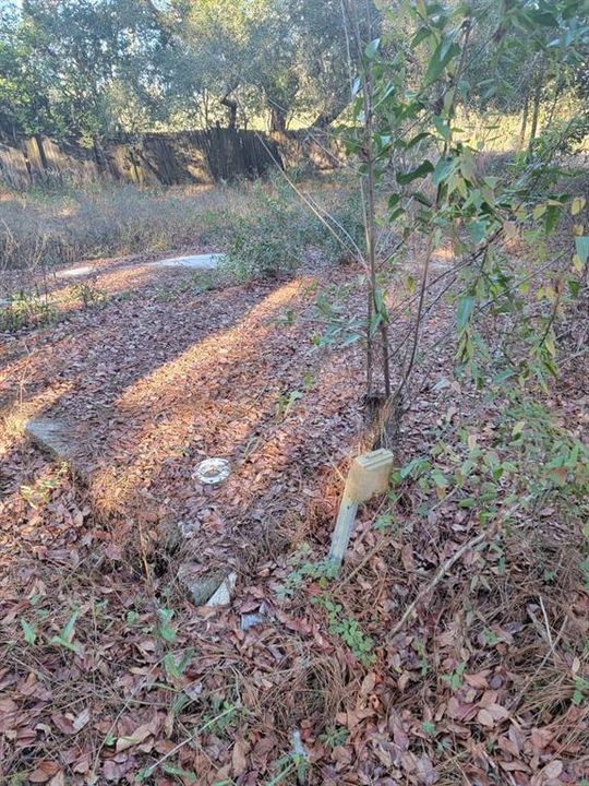 For Sale: $15,000 (0.23 acres)