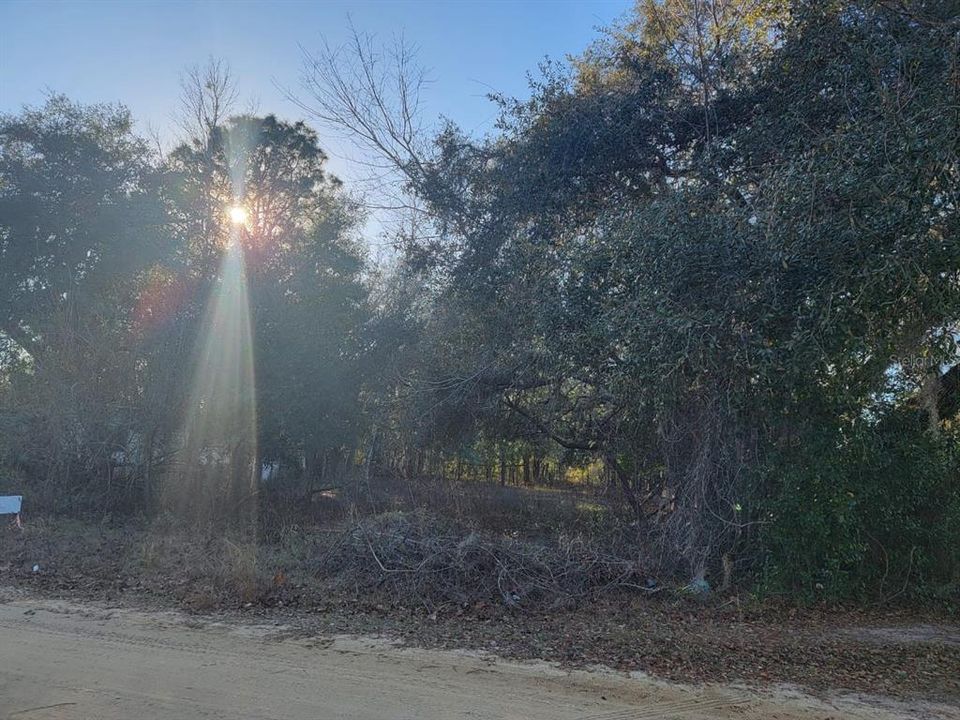 For Sale: $15,000 (0.23 acres)