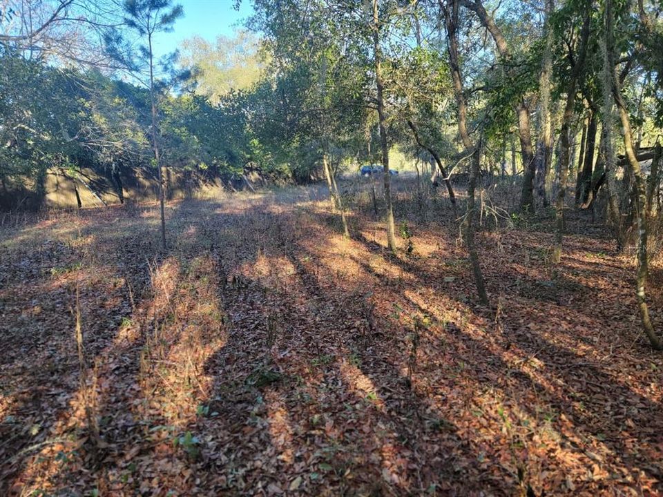 For Sale: $15,000 (0.23 acres)