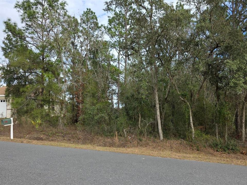 For Sale: $55,000 (0.46 acres)