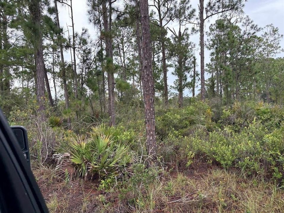 For Sale: $45,000 (1.00 acres)