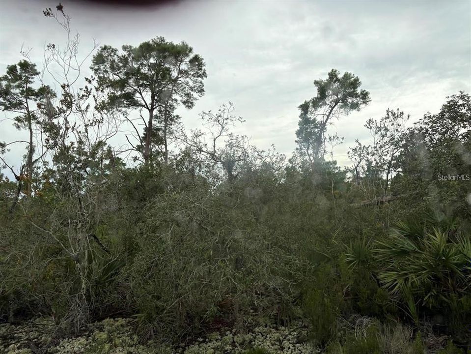 For Sale: $45,000 (1.00 acres)