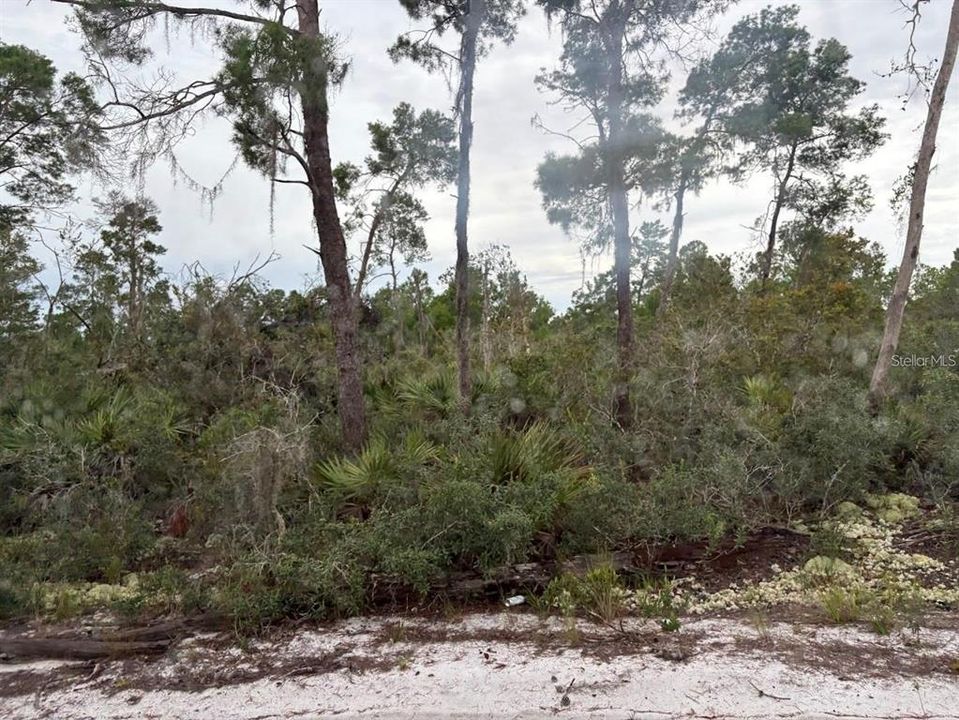 For Sale: $45,000 (1.00 acres)