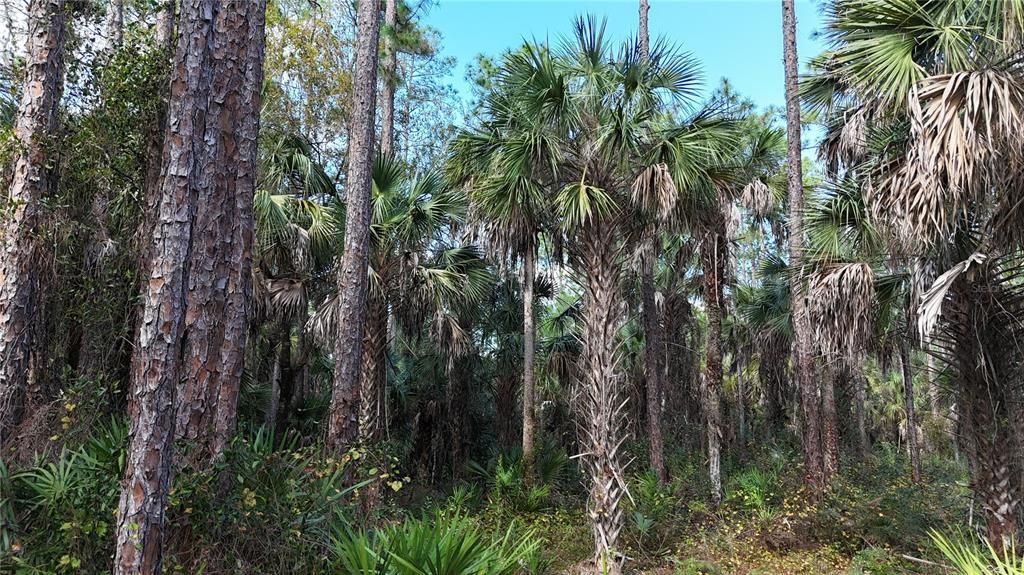 На продажу: $399,000 (4.48 acres)