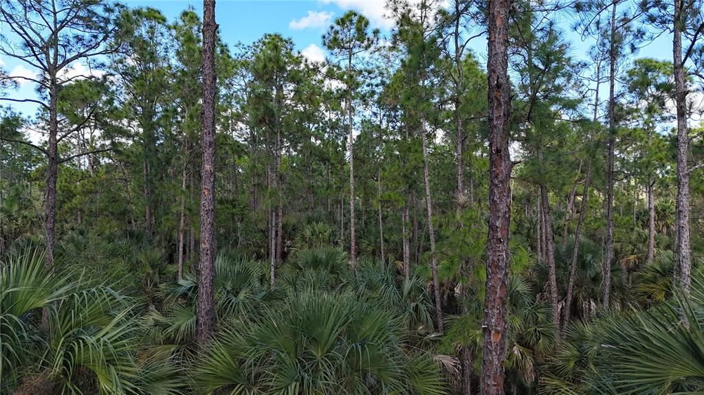На продажу: $399,000 (4.48 acres)