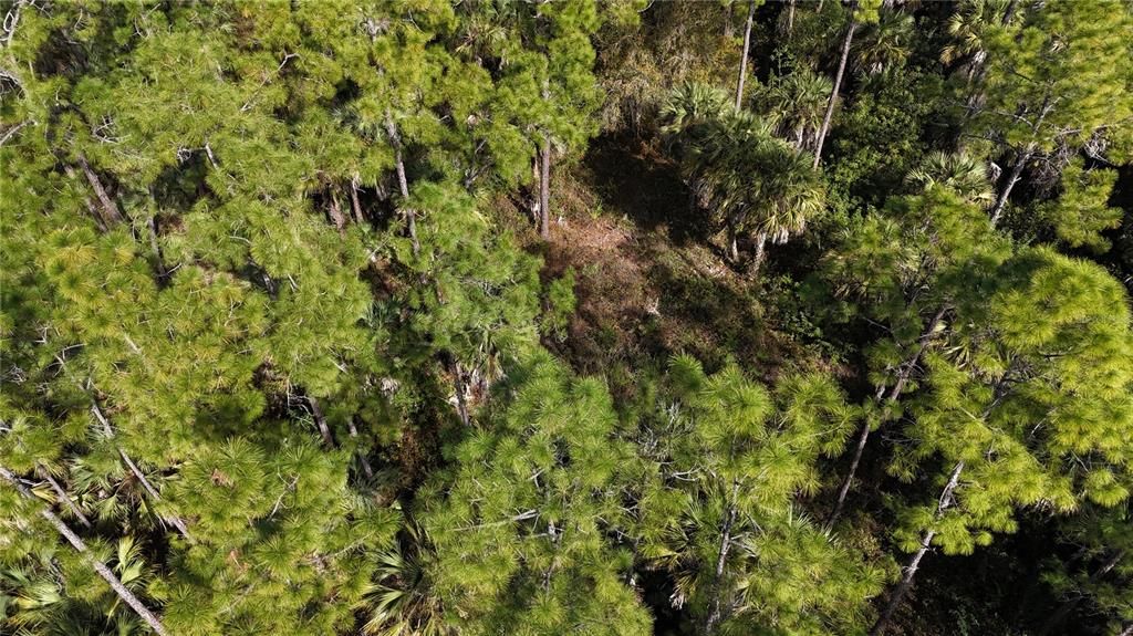 На продажу: $399,000 (4.48 acres)