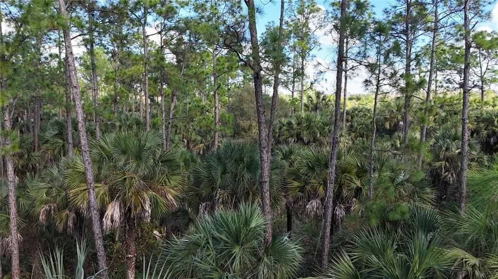 На продажу: $399,000 (4.48 acres)