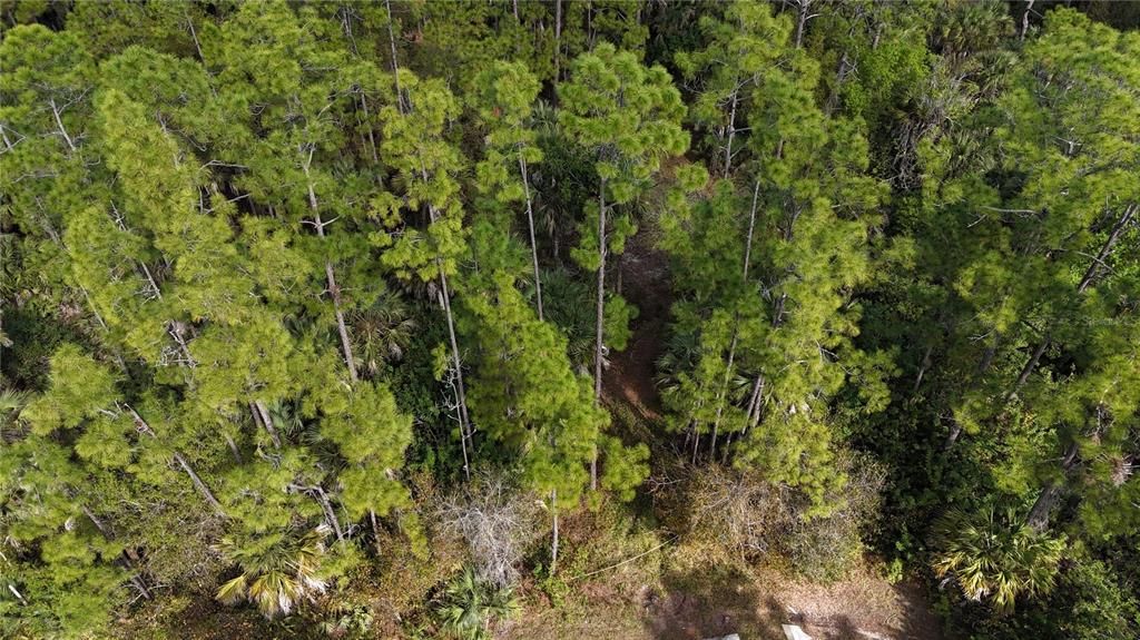 На продажу: $399,000 (4.48 acres)