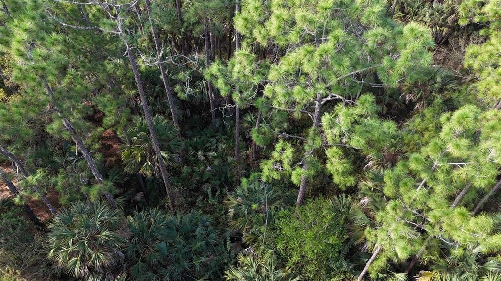 На продажу: $399,000 (4.48 acres)