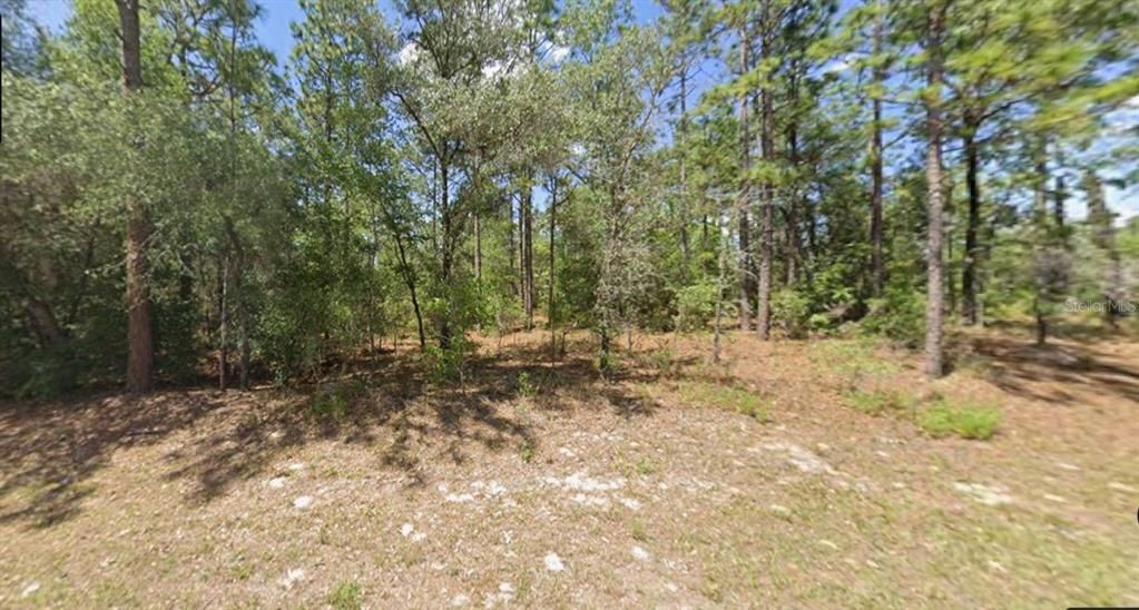 Activo con contrato: $20,000 (0.23 acres)