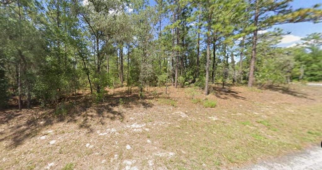 Activo con contrato: $20,000 (0.23 acres)