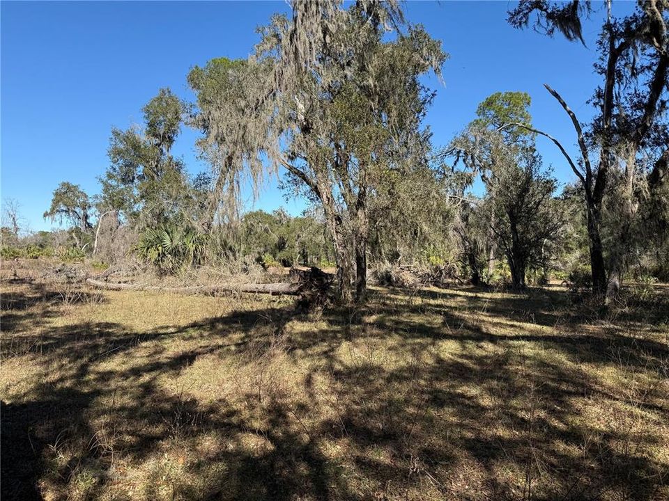 For Sale: $275,000 (10.58 acres)