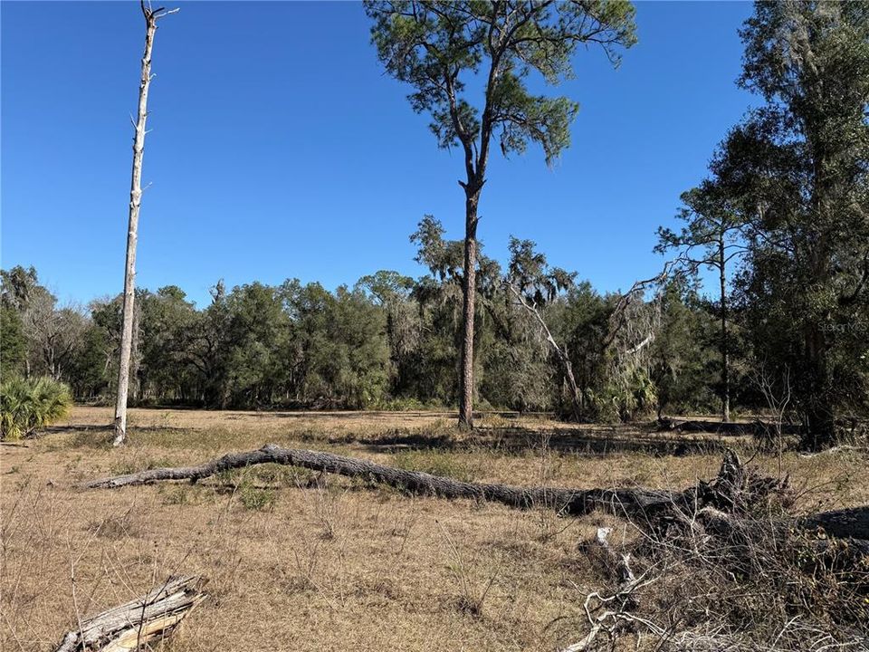 For Sale: $275,000 (10.58 acres)