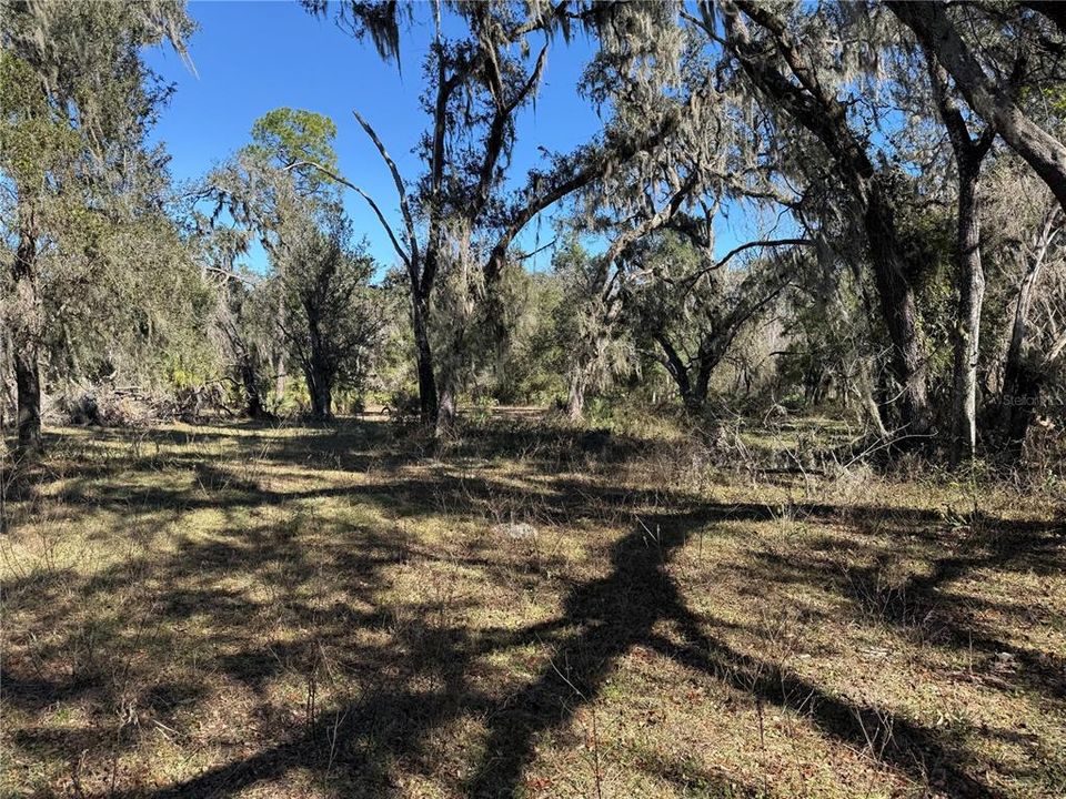 For Sale: $275,000 (10.58 acres)