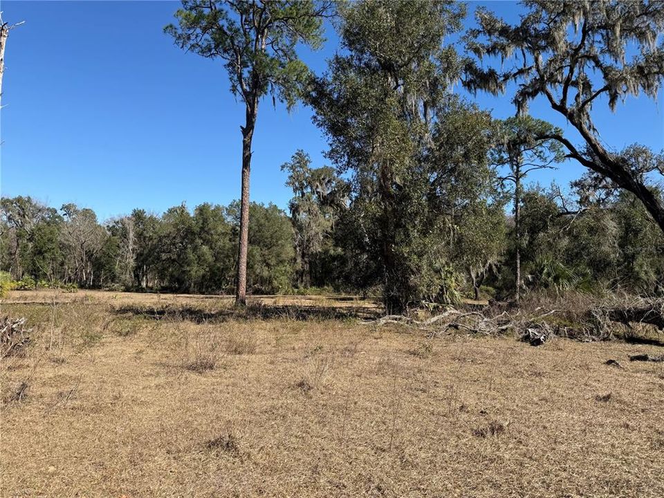 For Sale: $275,000 (10.58 acres)