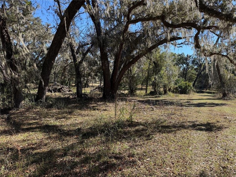 For Sale: $275,000 (10.58 acres)