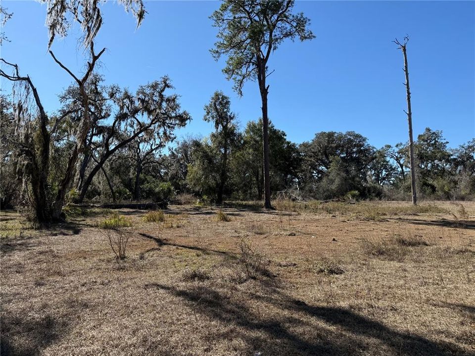 For Sale: $275,000 (10.58 acres)